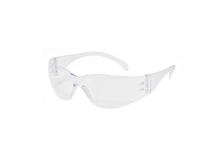 Safety Glasses, Clear, Case/12