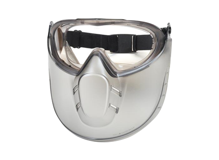 Face Mask with Removable Shield